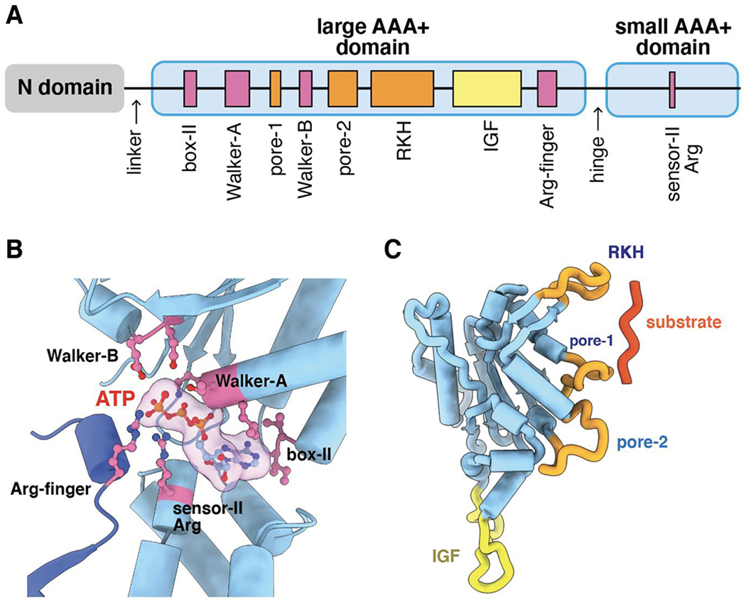 Figure 2.