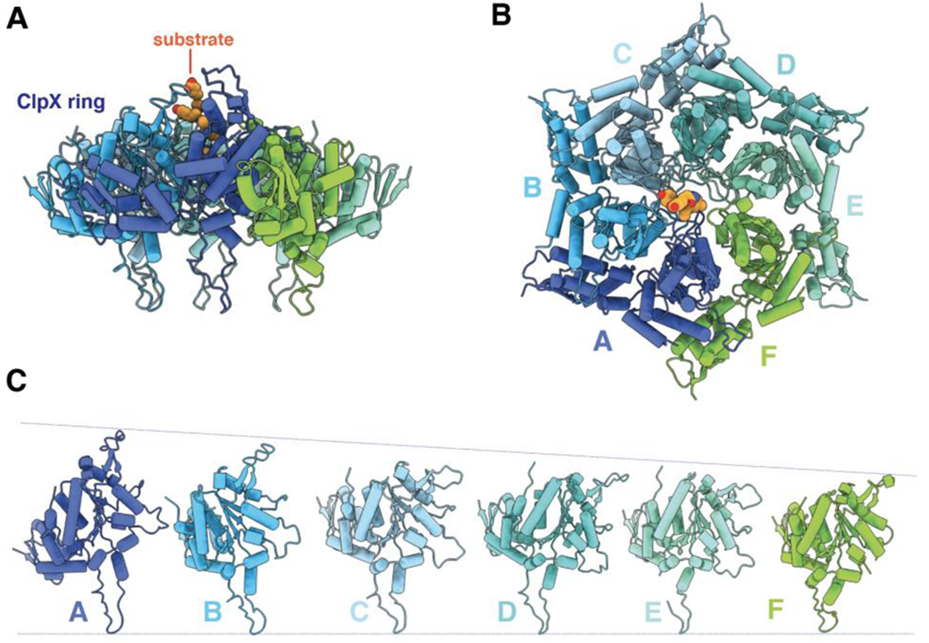 Figure 3.