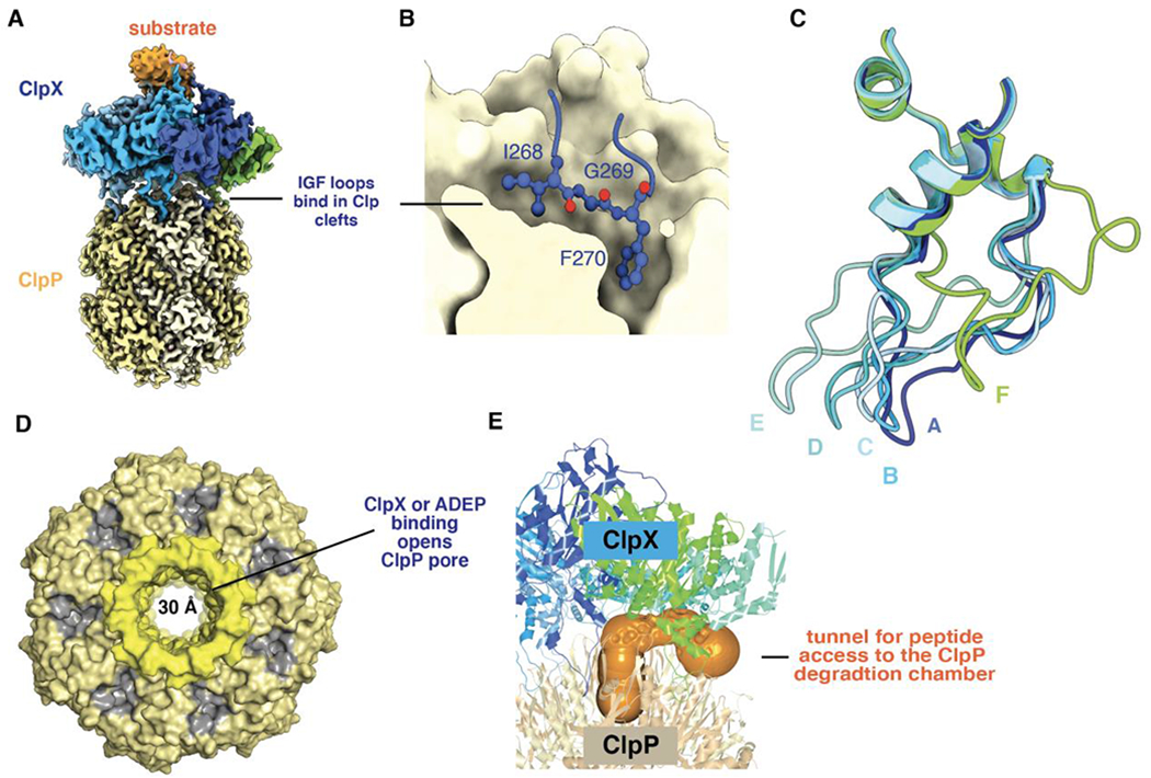 Figure 5.