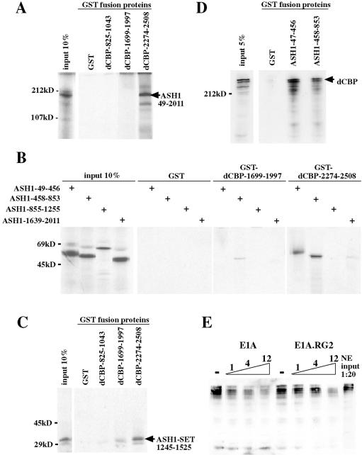 FIG. 7