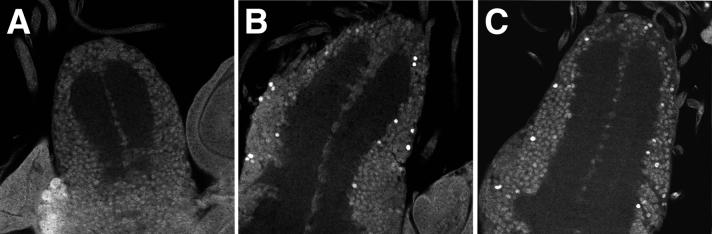 FIG. 6