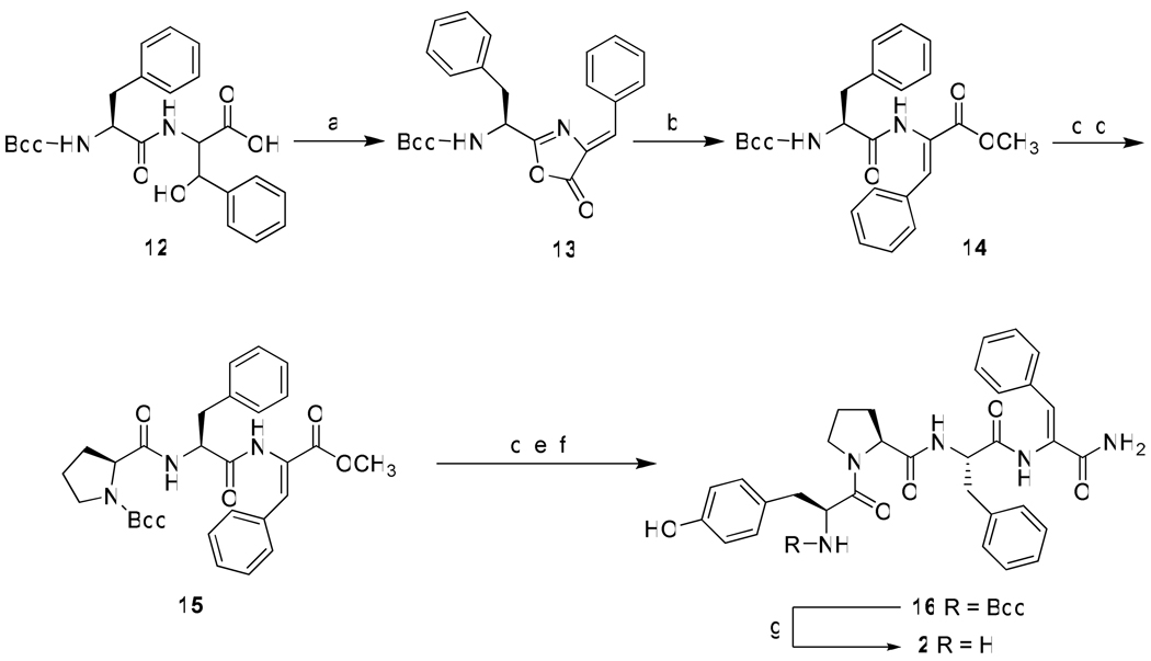 Scheme 2