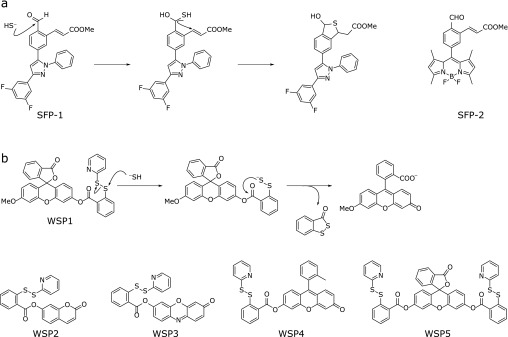 Fig. 2