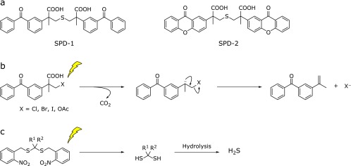 Fig. 4