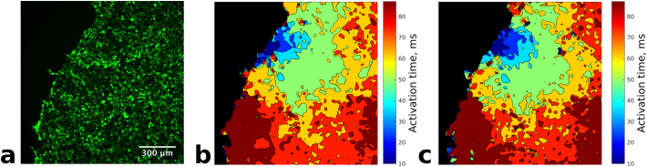 Fig. 3