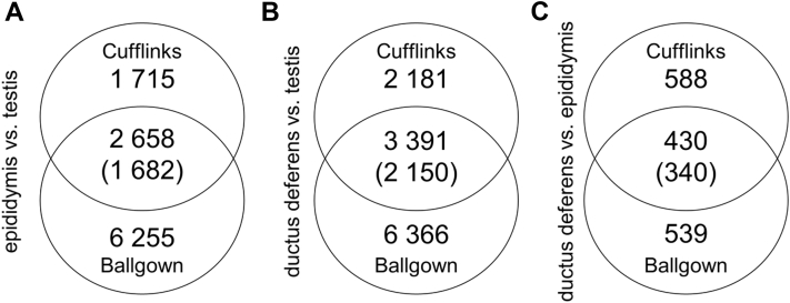 Figure 3