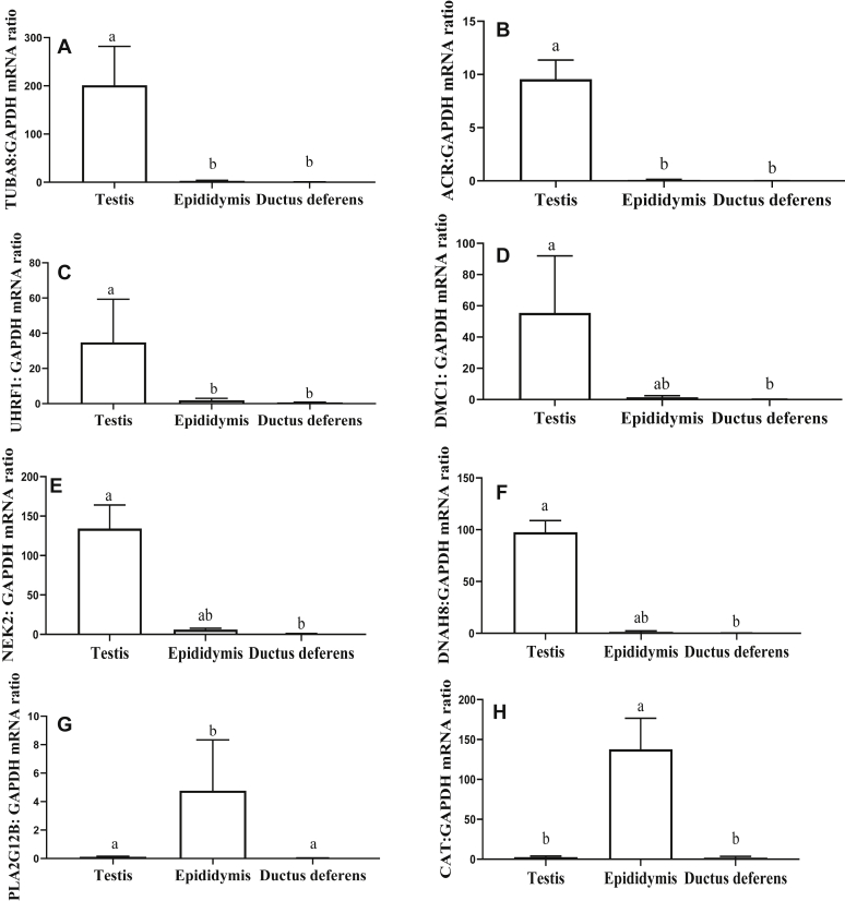 Figure 5