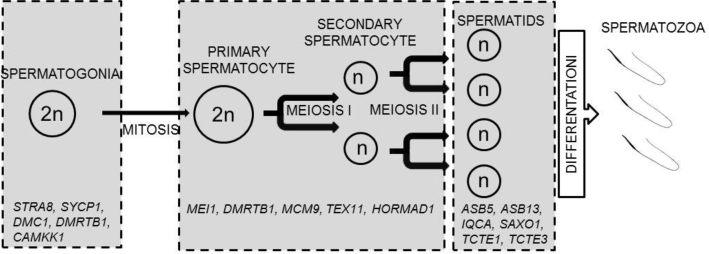 Figure 6