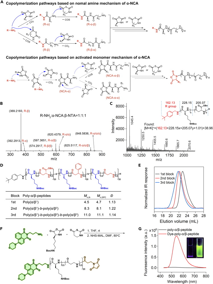 Figure 2