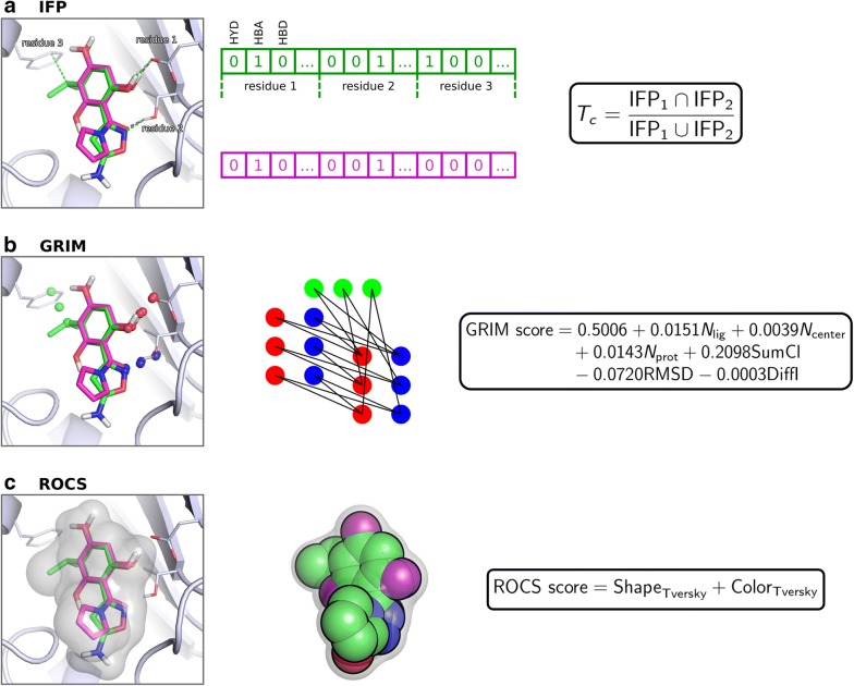 Fig. 2