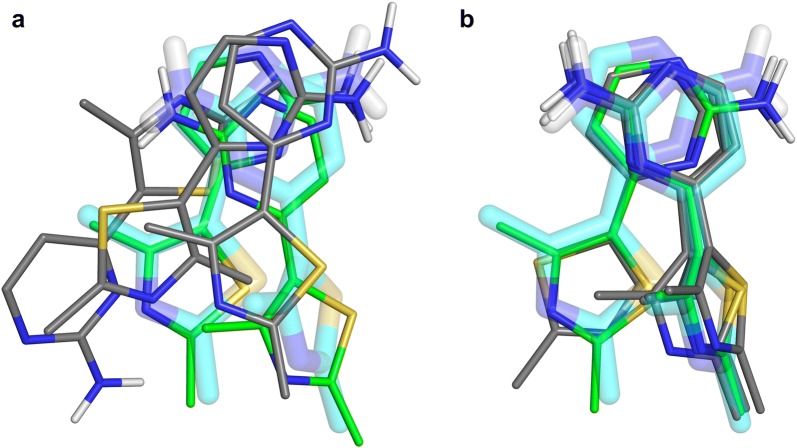 Fig. 10