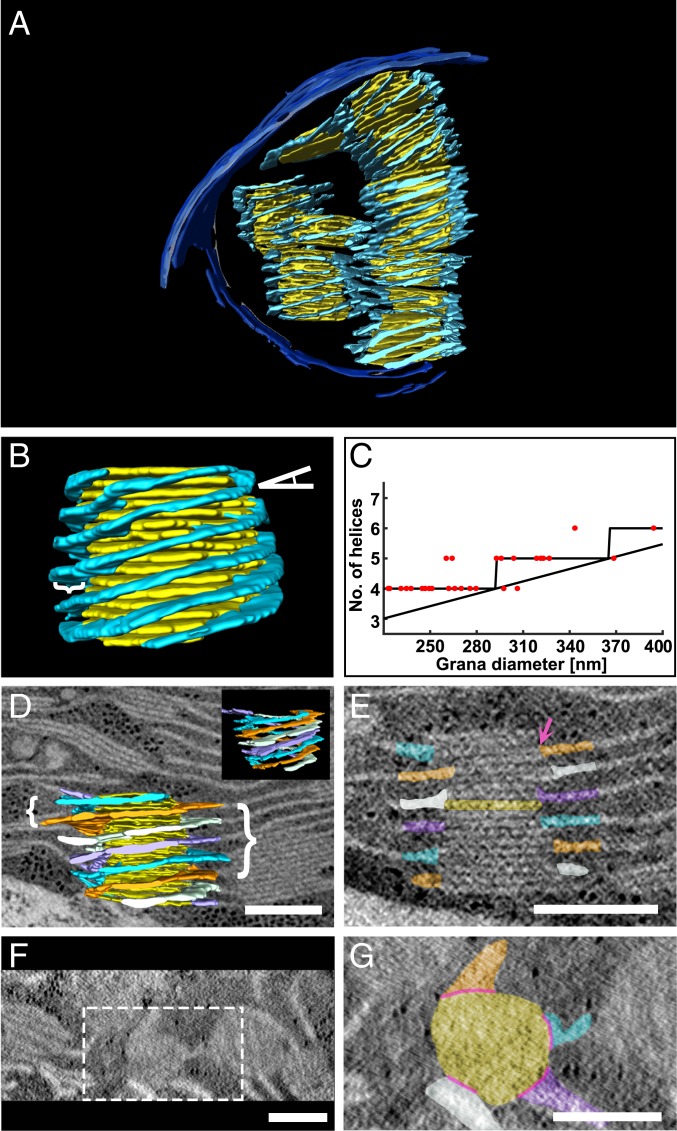 Fig. 3.