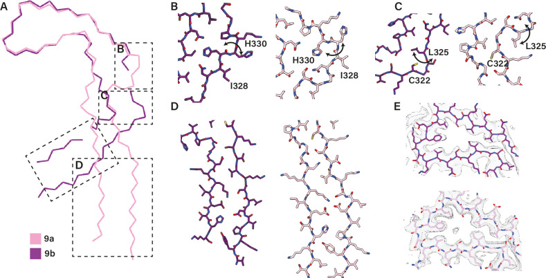 Figure 3—figure supplement 2.