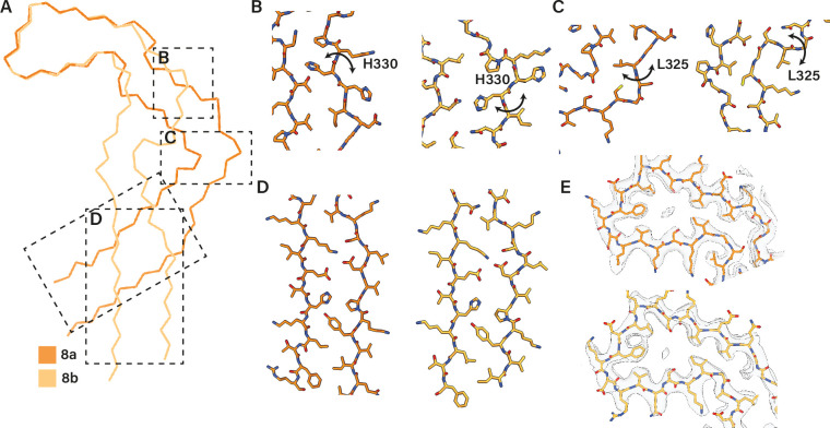 Figure 3—figure supplement 1.