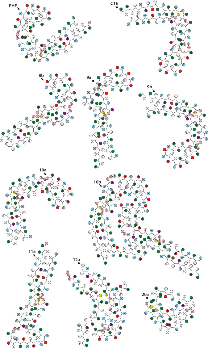 Figure 1—figure supplement 4.