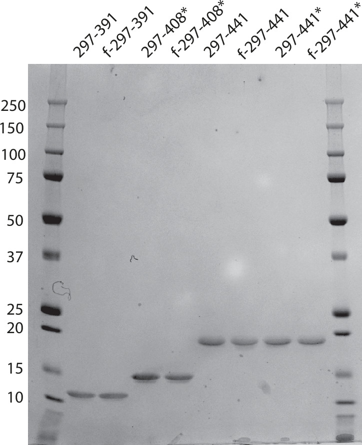 Figure 4—figure supplement 2.