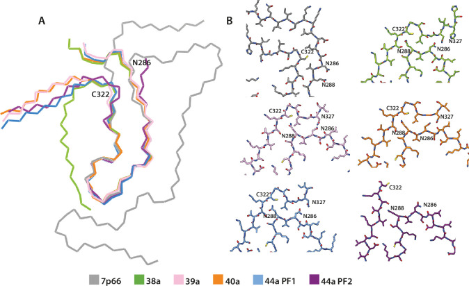 Figure 4—figure supplement 1.