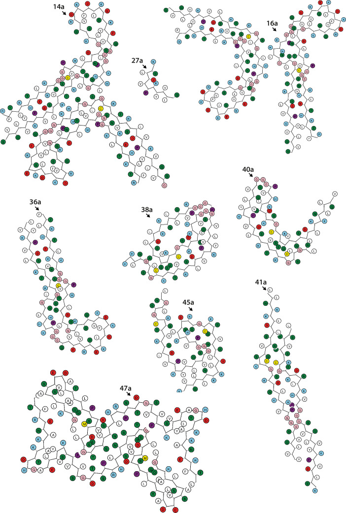 Figure 1—figure supplement 5.