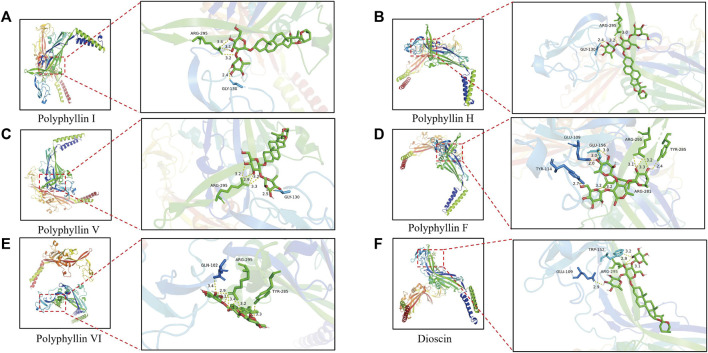 FIGURE 3