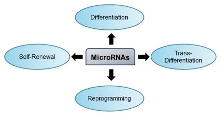 graphic file with name nihms688063u1.jpg