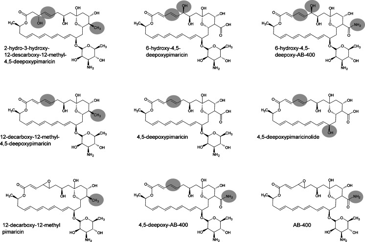 Fig. 4