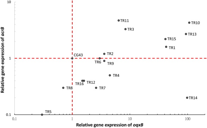 Fig 2