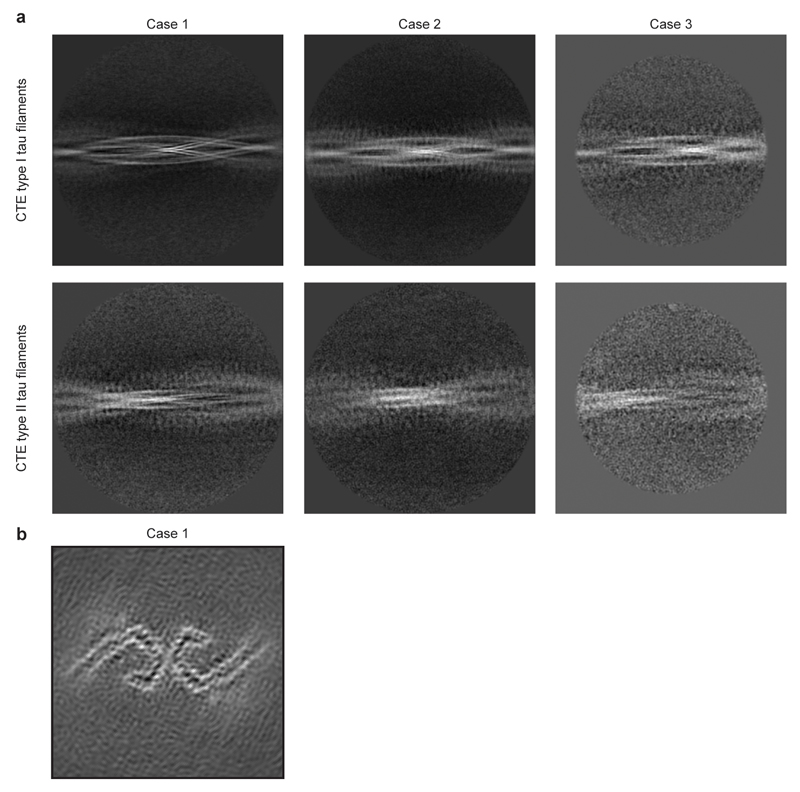 Extended Data Figure 3