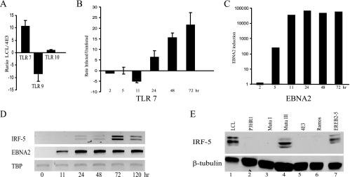 FIG. 4.