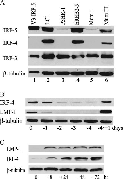 FIG. 8.