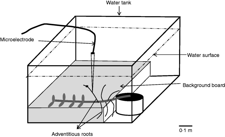 Fig. 1.