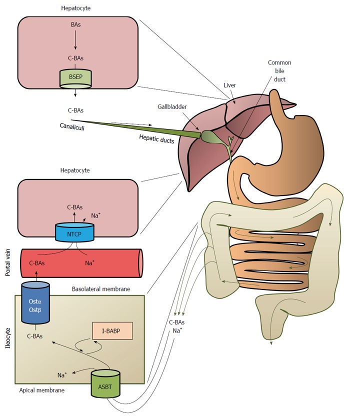 Figure 5