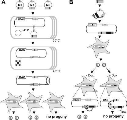 FIG. 1.