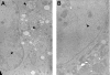 FIG. 6.