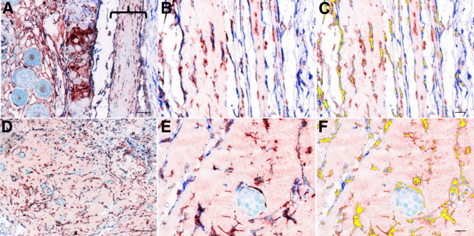 Figure 6