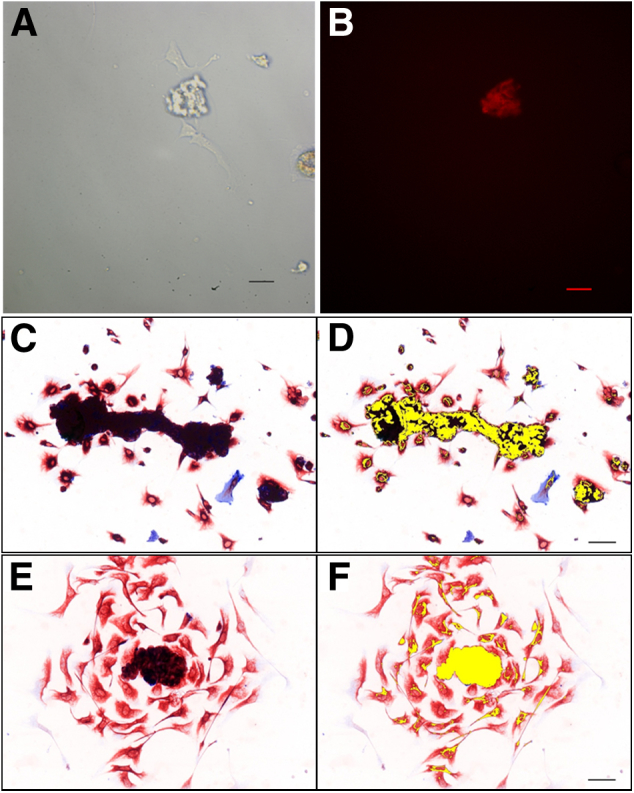 Figure 7