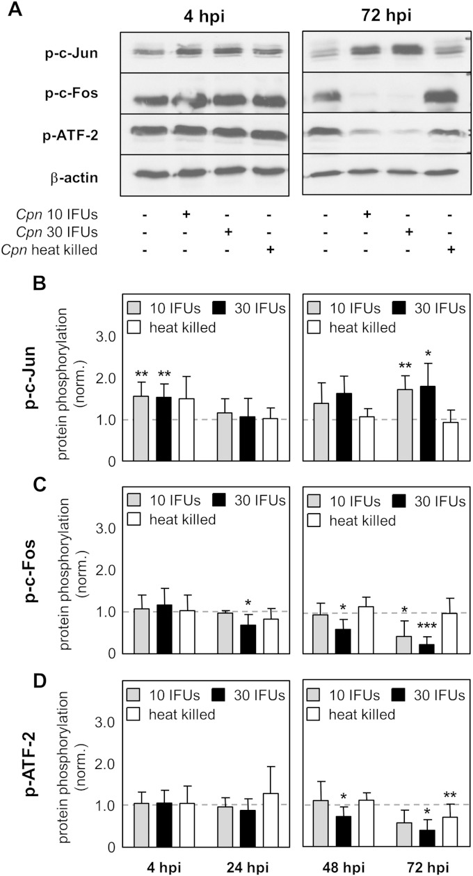 FIG 2