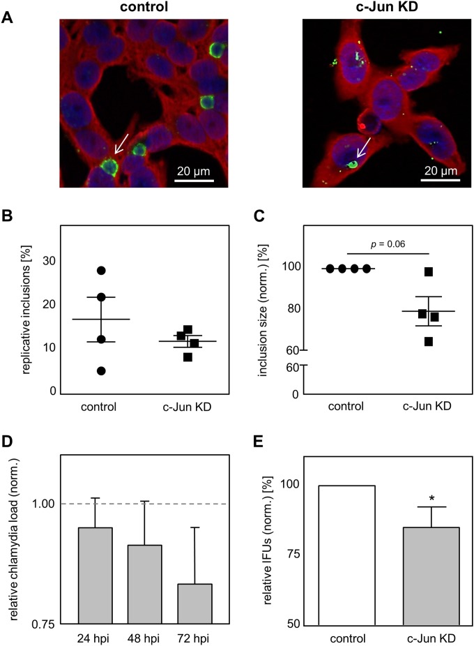 FIG 3