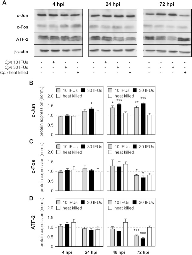 FIG 1