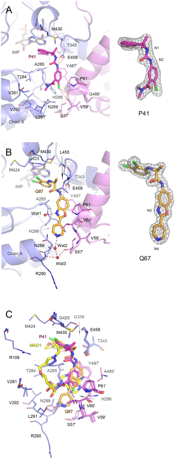 Fig 5