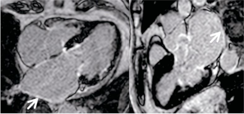 Fig. (8)