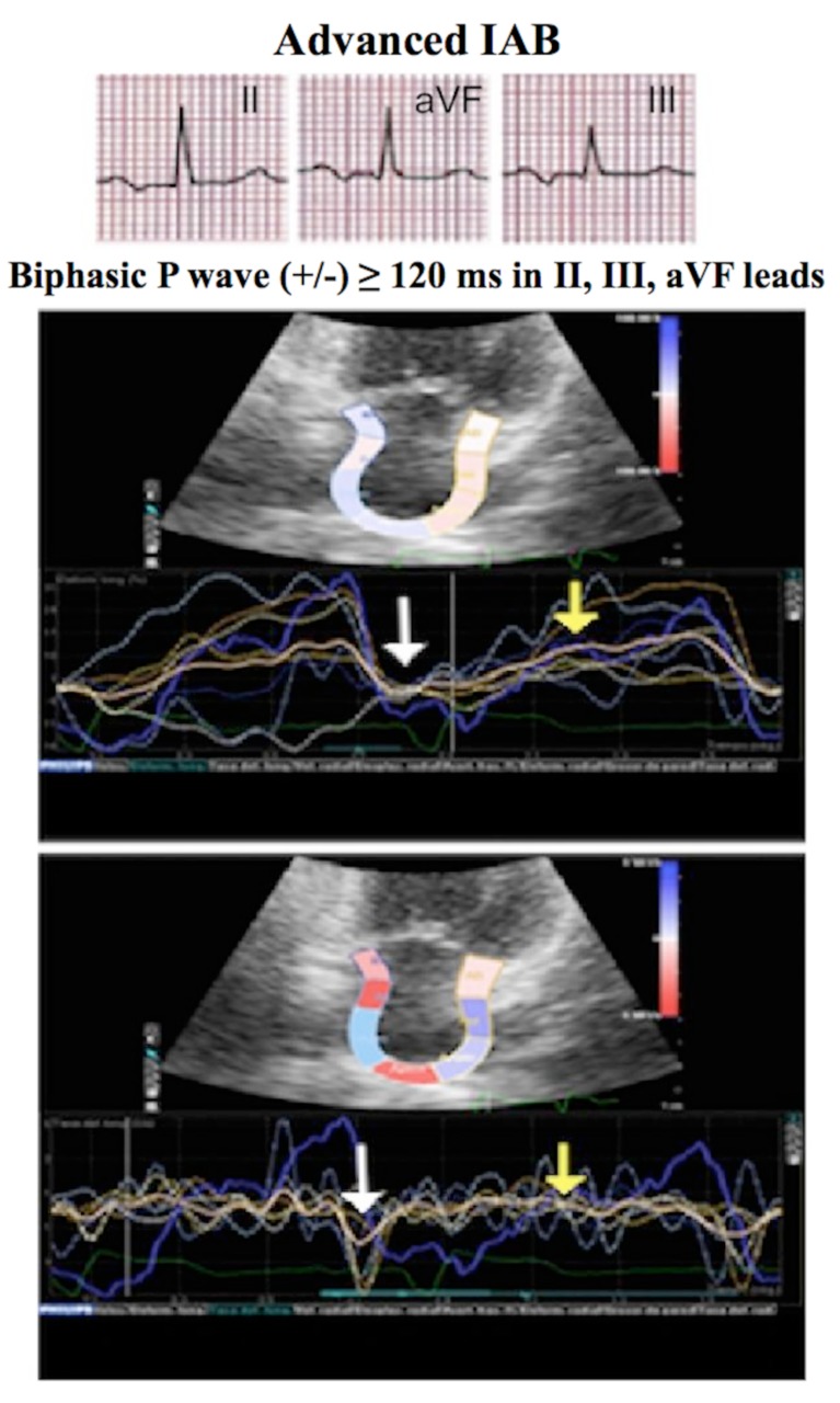 Fig. (3)