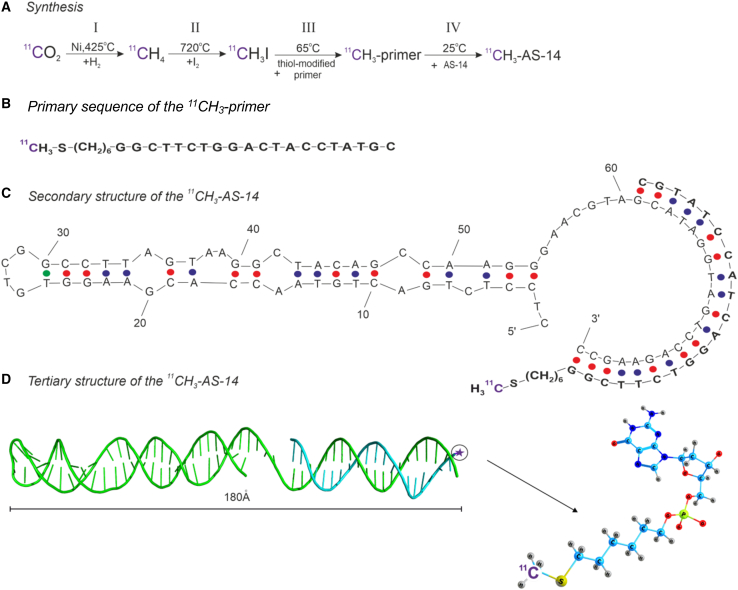 Figure 2