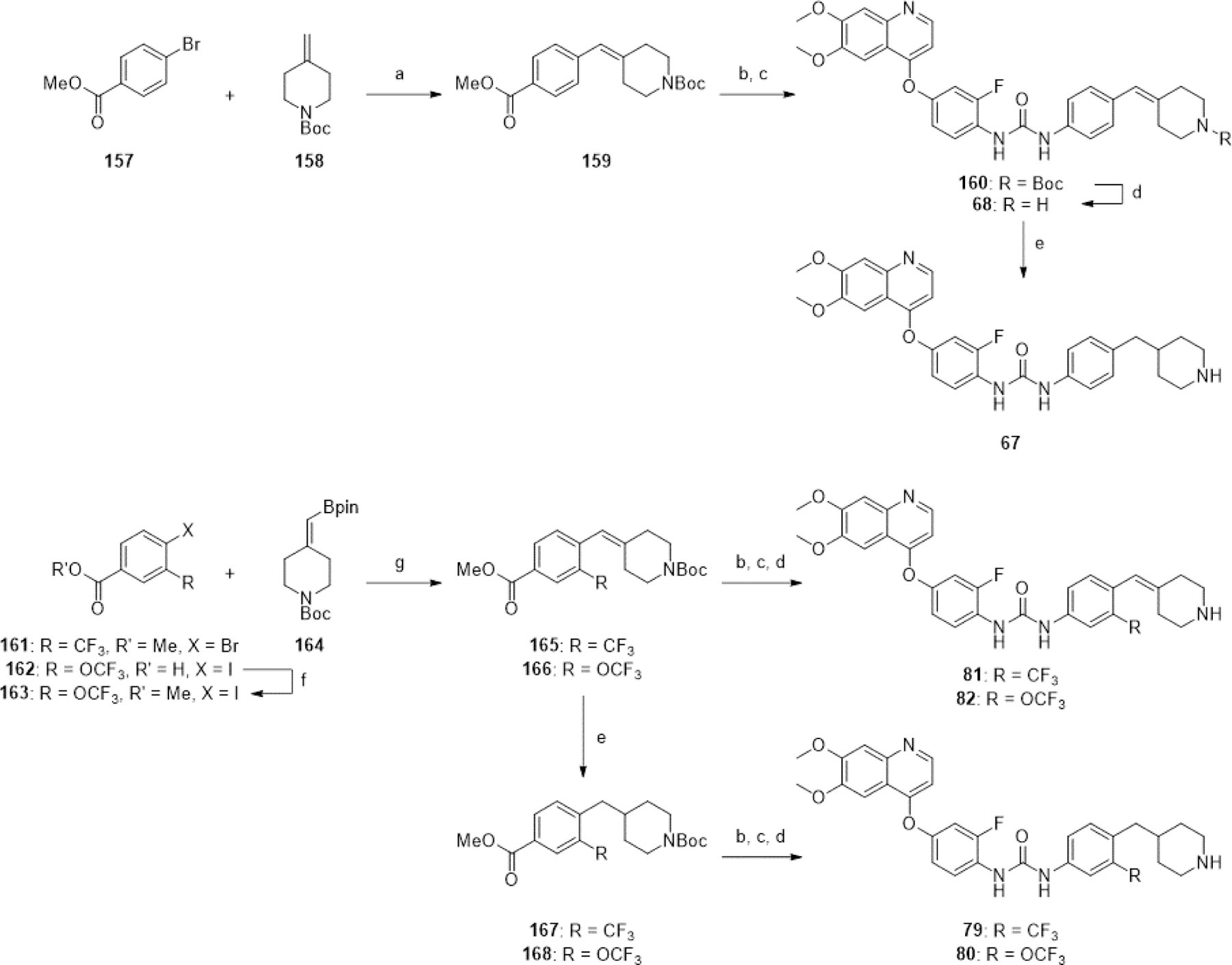 Scheme 7.