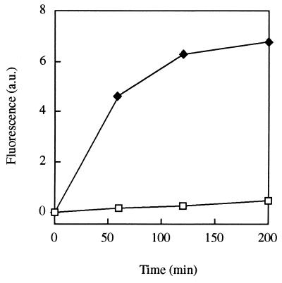 FIG. 5