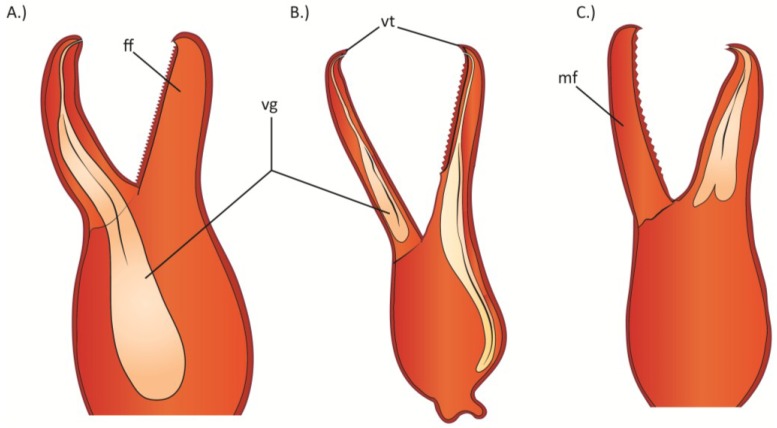 Figure 7