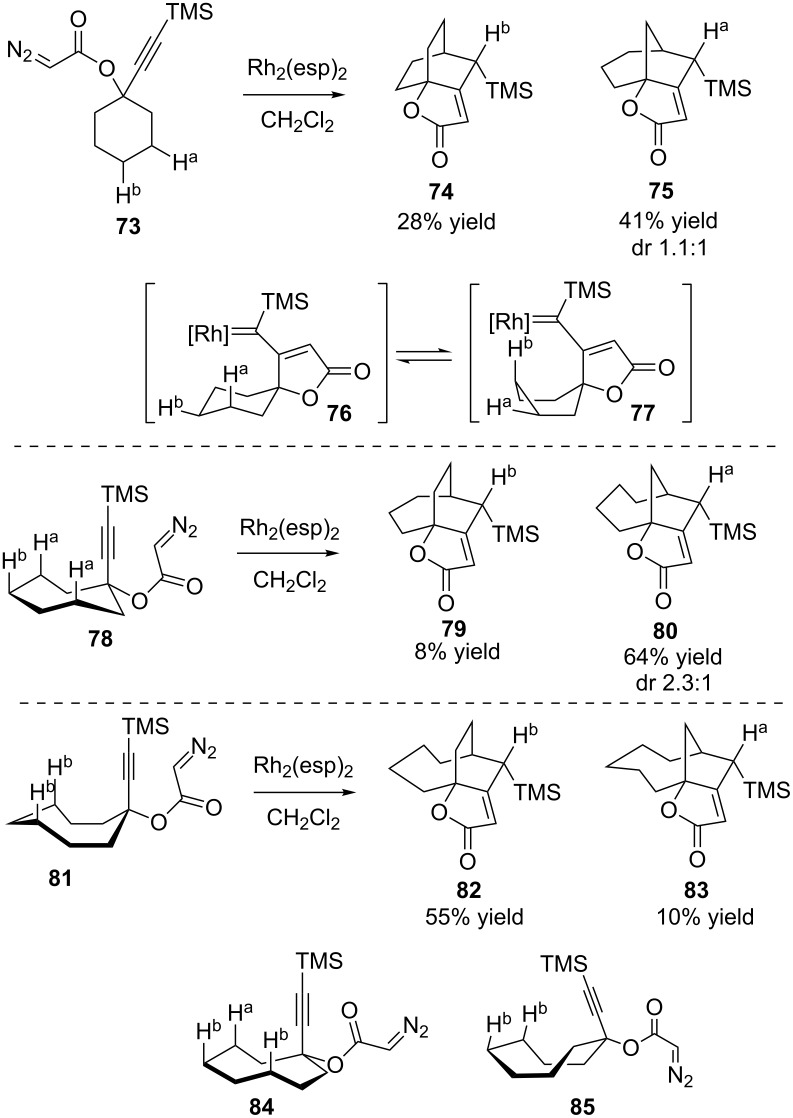 Scheme 19