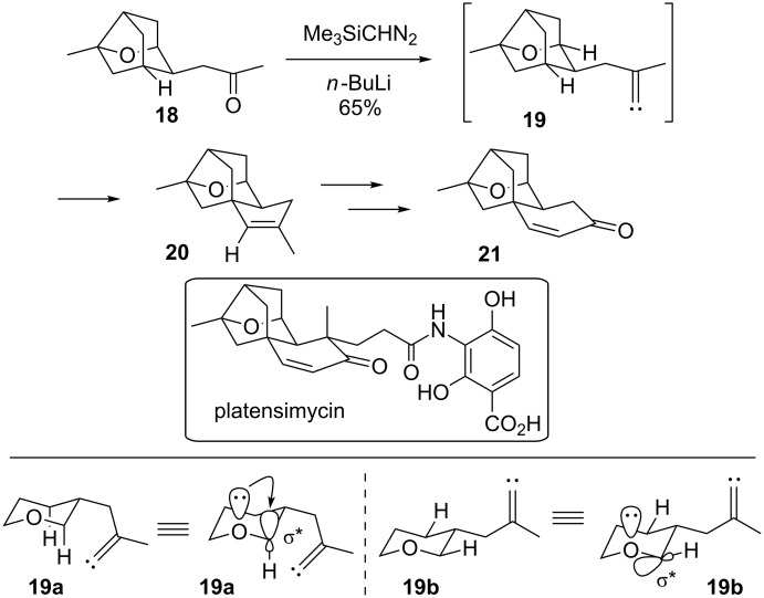 Scheme 4