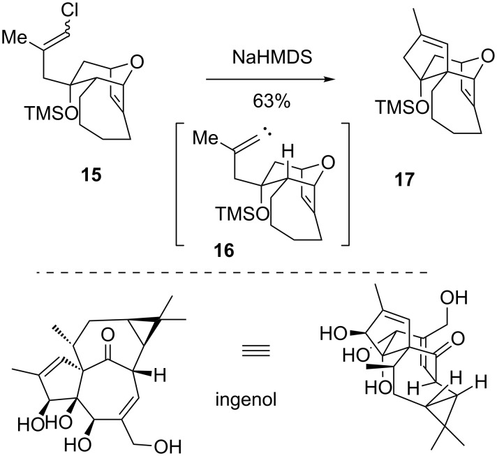 Scheme 3