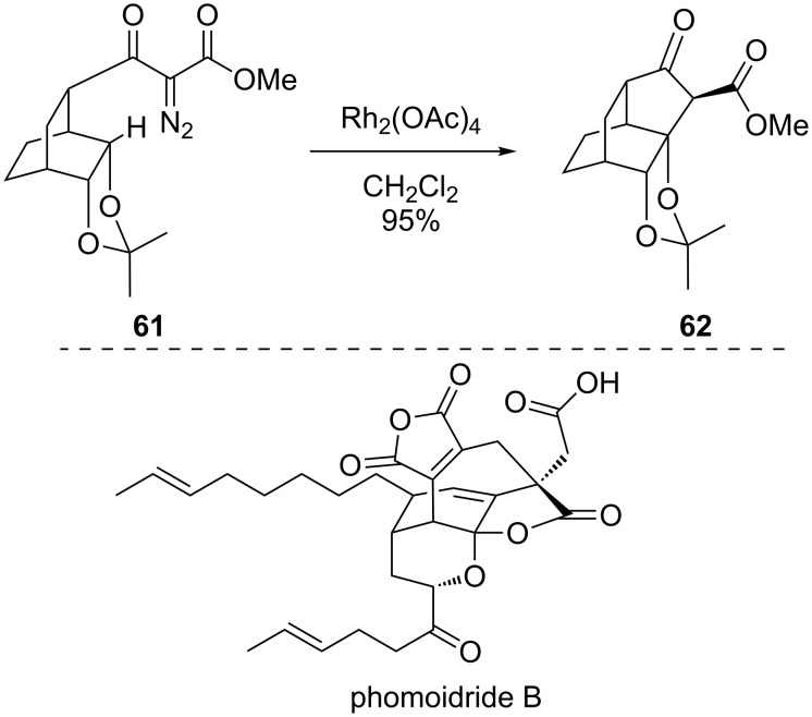 Scheme 16