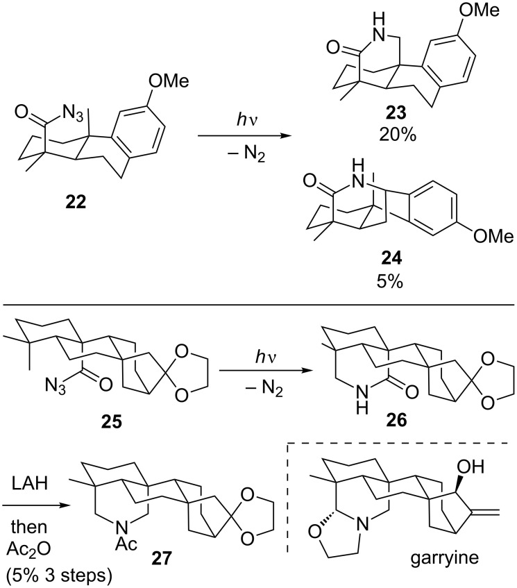 Scheme 5